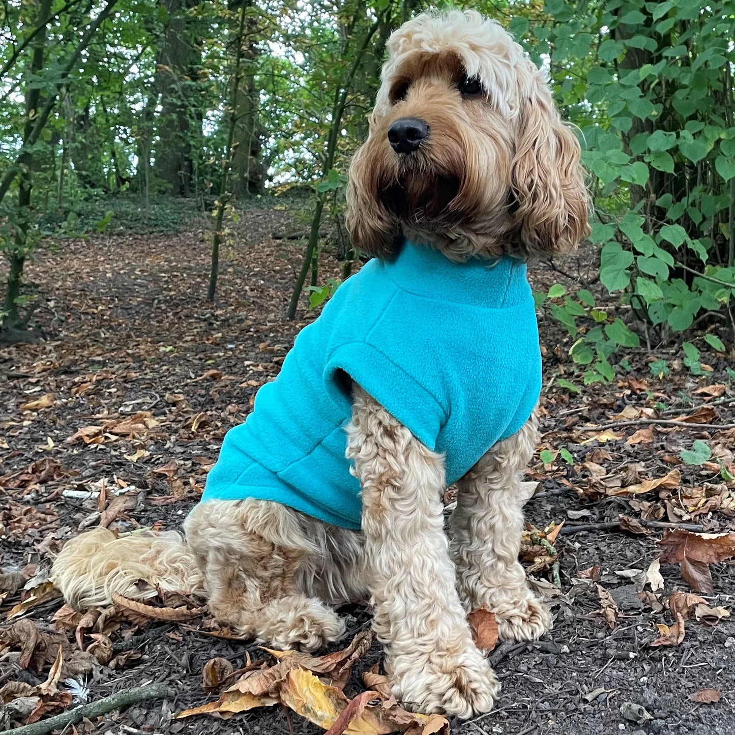 Pawsome Suits Fleece Tanki - Jade (Turquoise)
