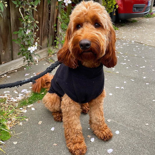 Pawsome Suits Fleece Tanki - Black