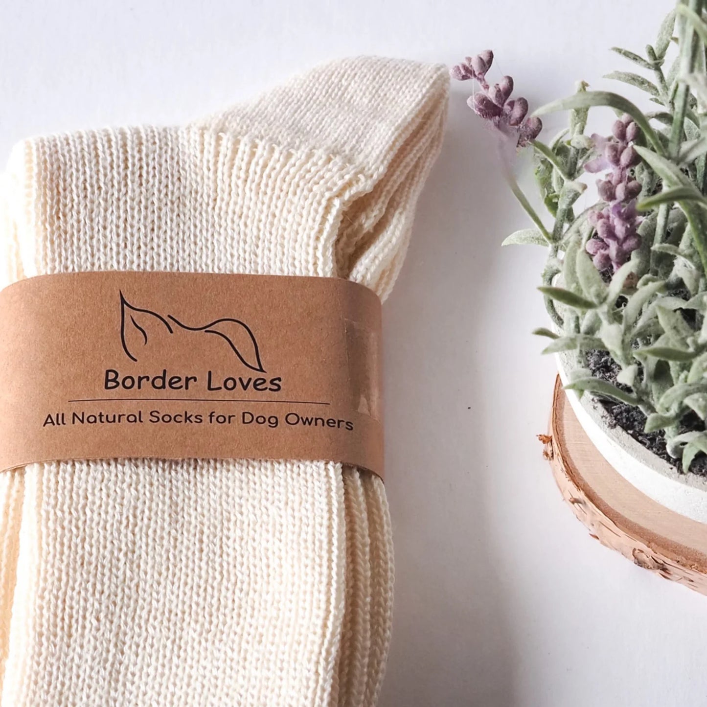 Border Loves All Natural Socks for Dog Owners