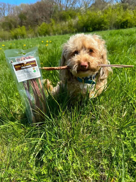 JR Pet Products Pizzle Pops