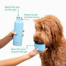 Springer Dog and Me Insulated Water Bottle