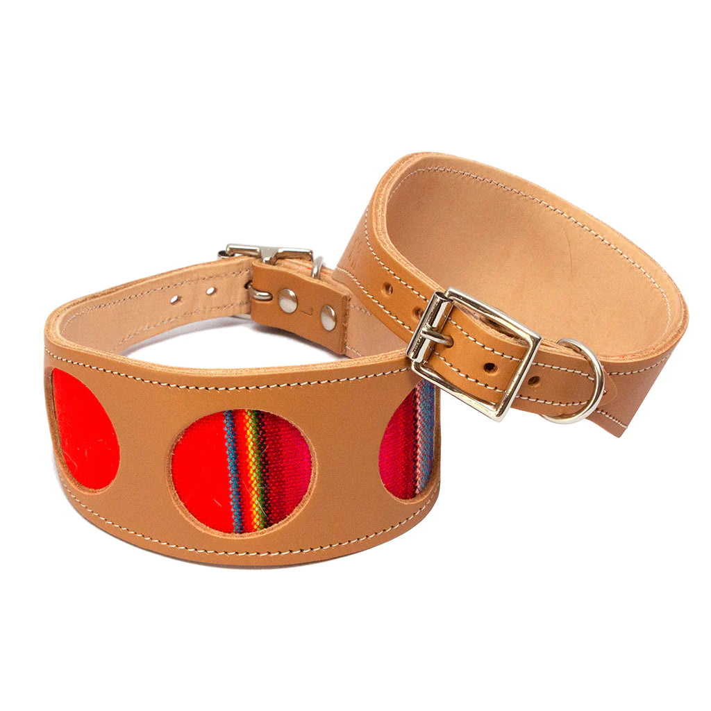 Hiro and Wolf Orange Inca Hound Collar