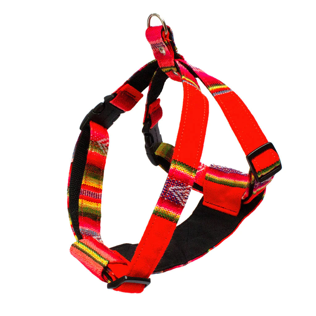 Hiro and Wolf Orange Inca Harness