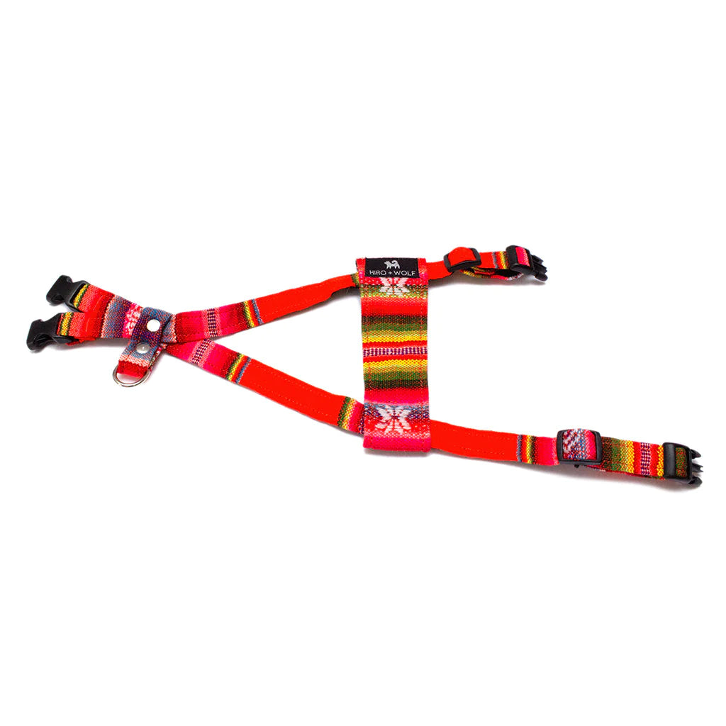 Hiro and Wolf Orange Inca Harness