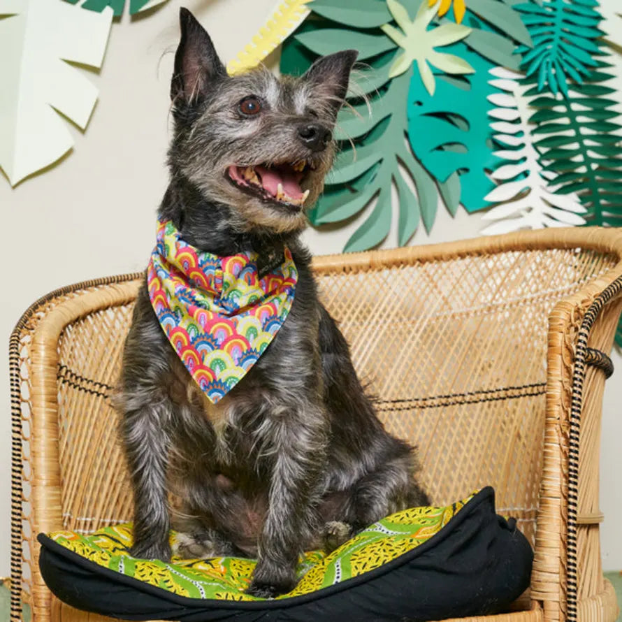Hiro and Wolf Over The Rainbow Bandana