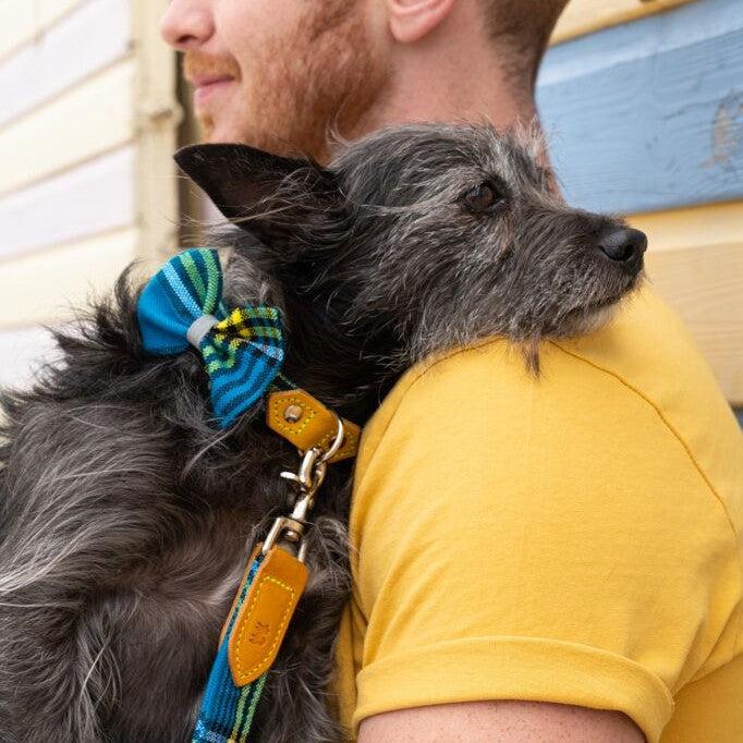 Hiro and Wolf Shuka Blue Bow Tie