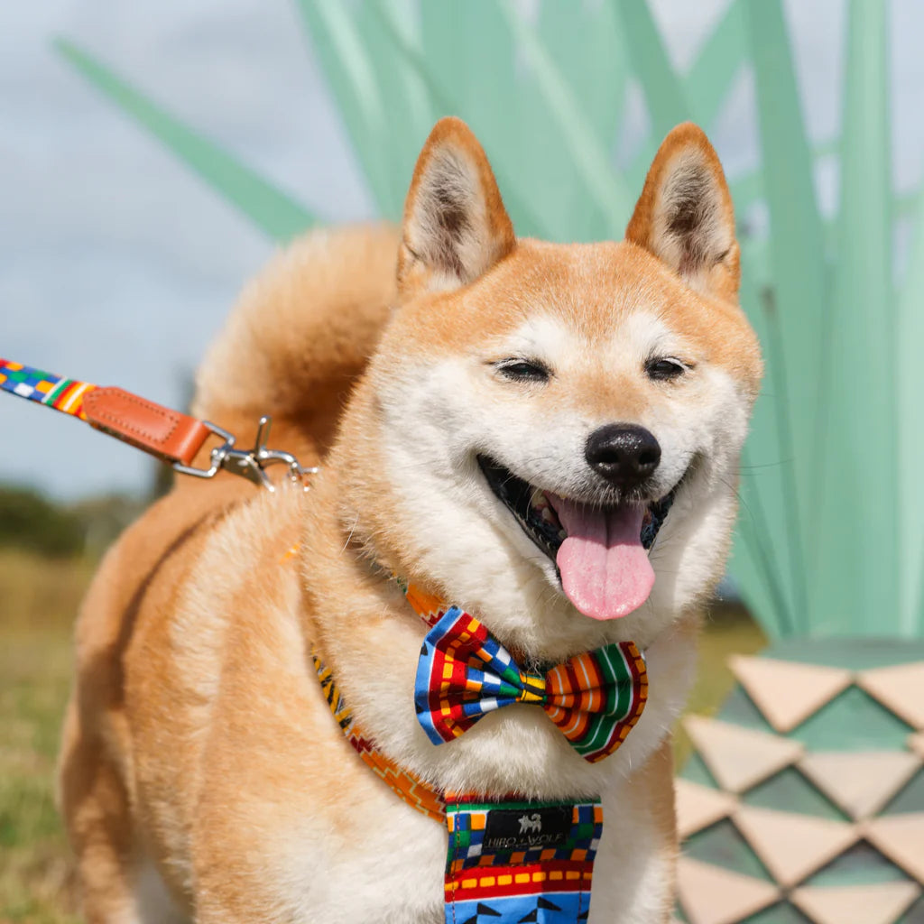 Hiro and Wolf Kente Bow Tie