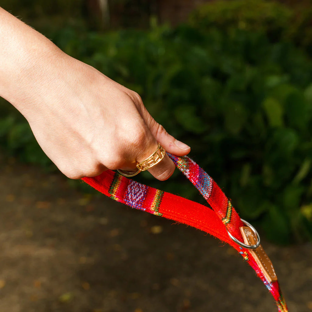 Hiro and Wolf Inca Orange Classic Lead