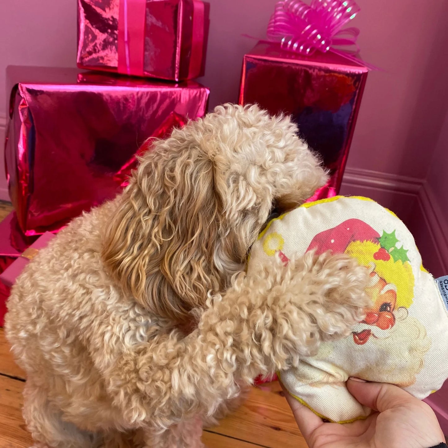 The Distinguished Dog Squeaky Father Christmas Soft Toy