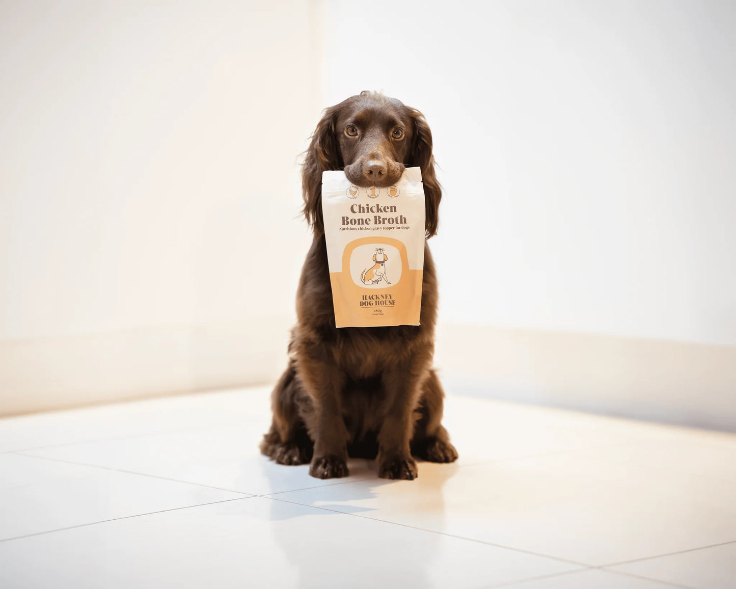 Hackney Dog House Chicken Bone Broth Powder 180g