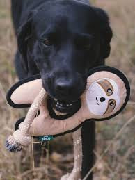 Beco Recycled Rough & Tough Sloth