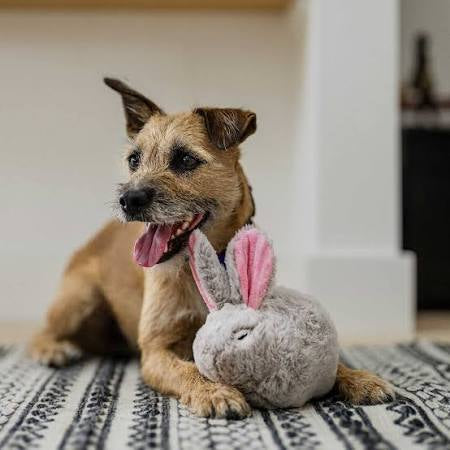 P.L.A.Y. Baxter Bunny