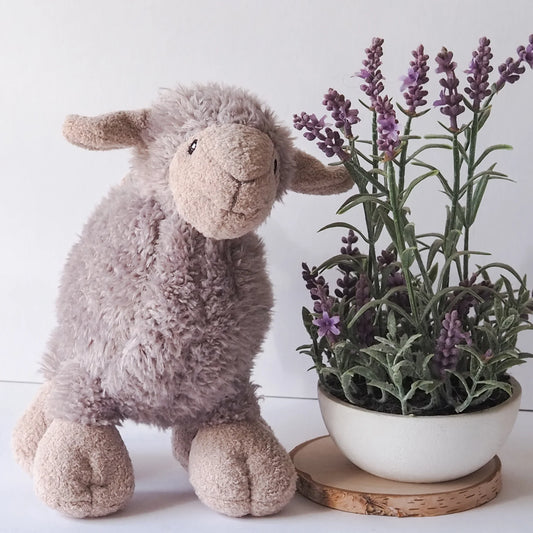 Border Loves Luca Lamb