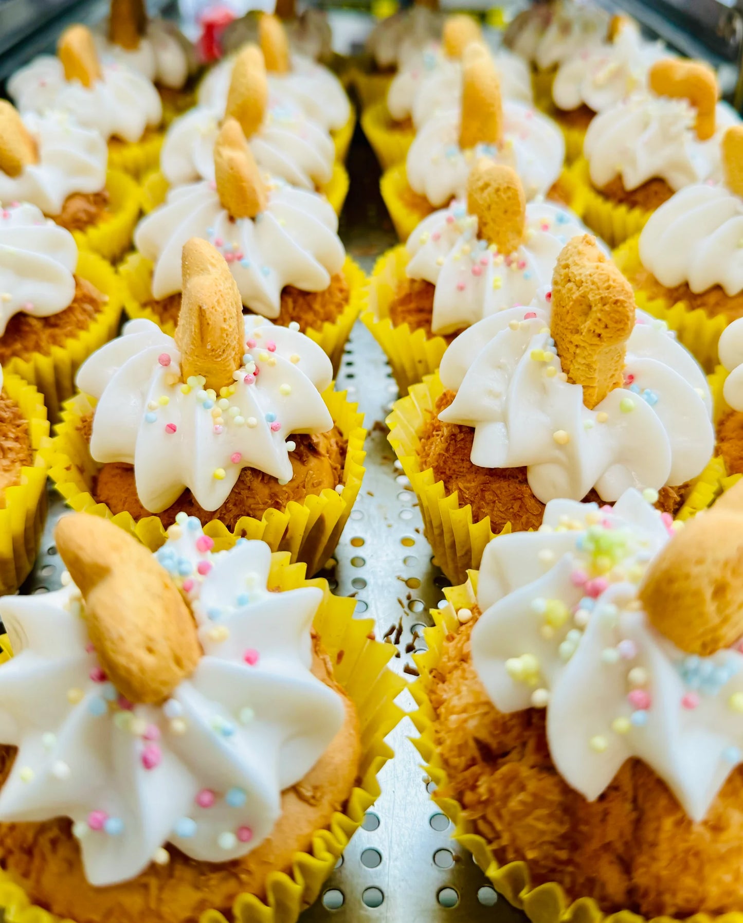 Life of Riley Pawty Pupcake