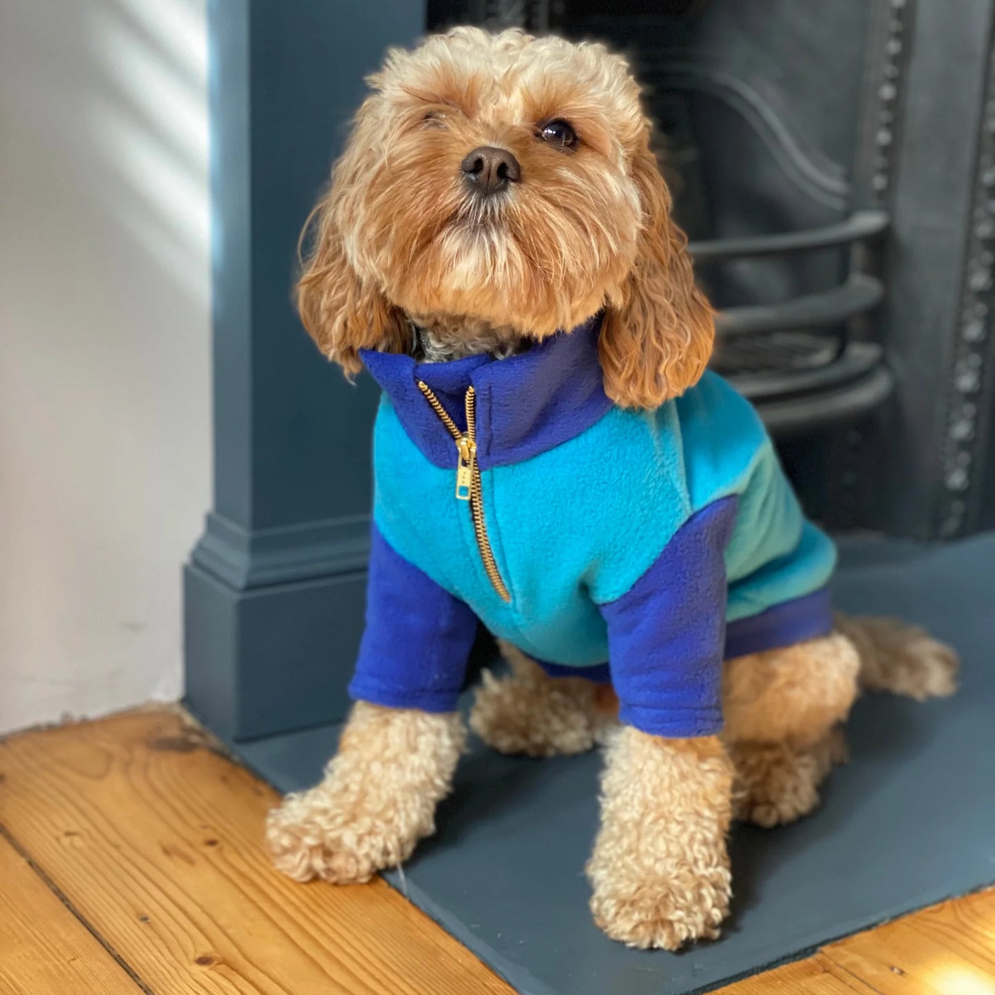 The Distinguished Dog Company Gatsby Fleece