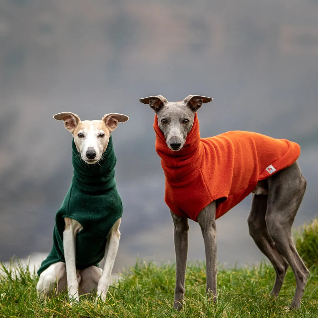 Redhound for Dogs Forest Fleece Jumper