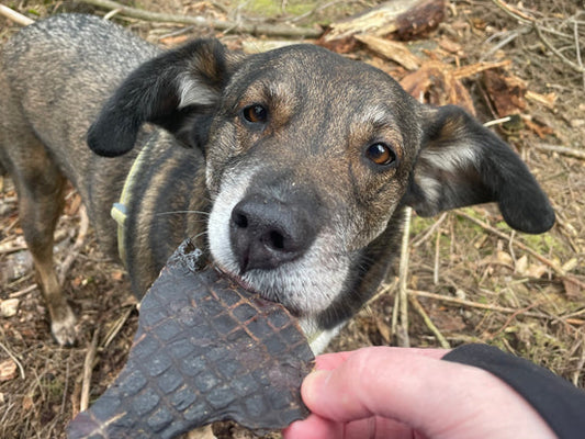 JR Pet Products Dried Beef Liver Strips