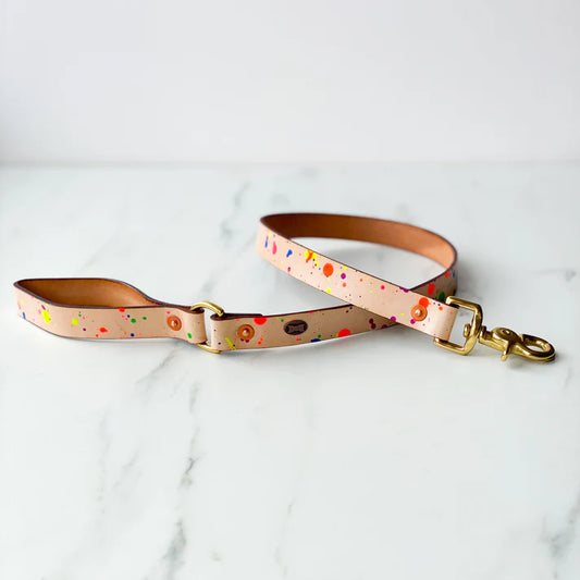 The Distinguished Dog Company Paint Box Lead