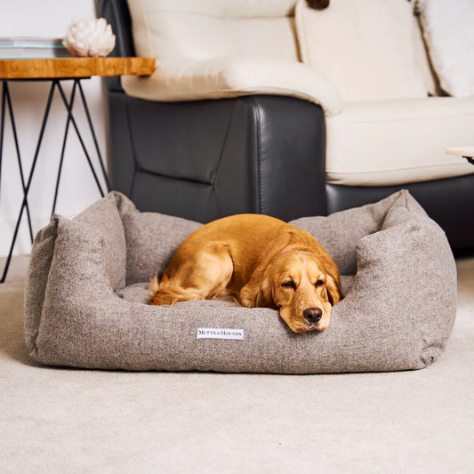 Mutts and Hounds Grey Tweed Boxy Bed