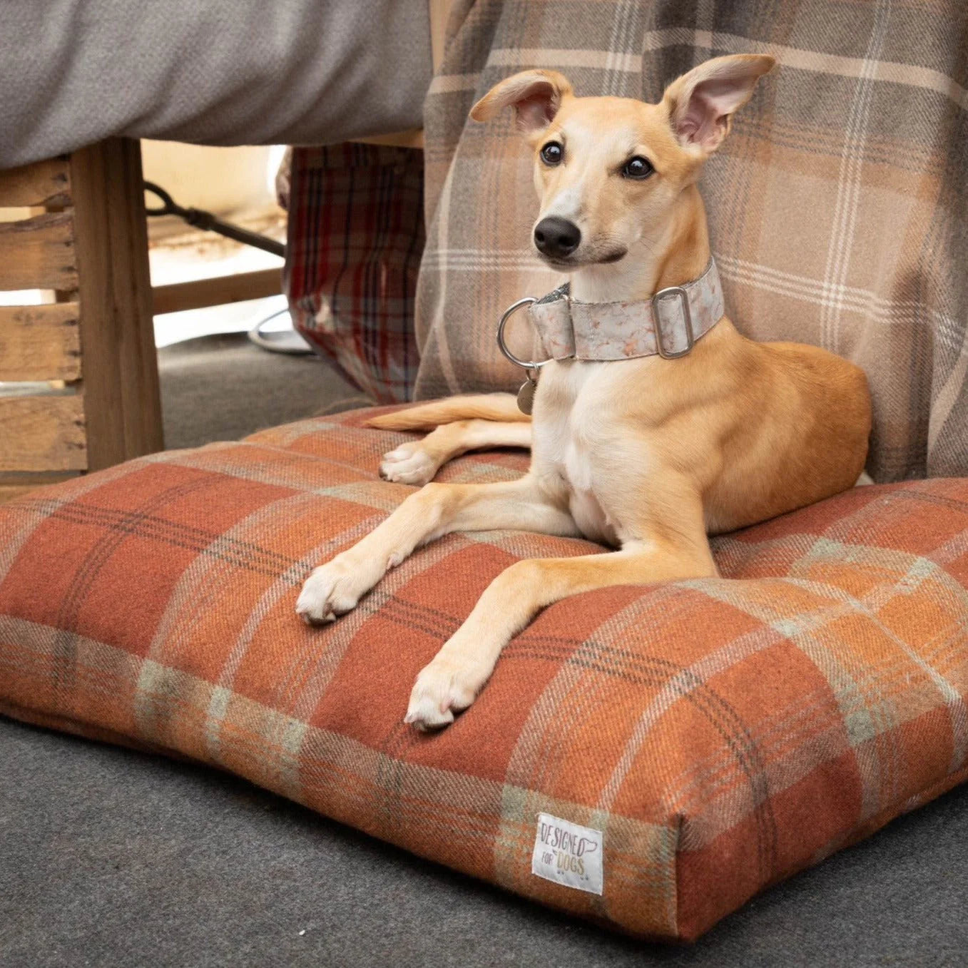 Designed For Dogs Mattress Beds