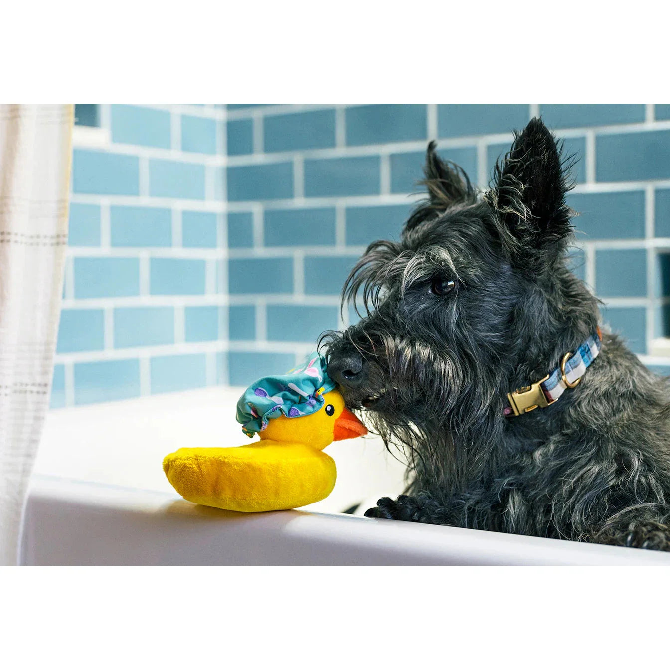 P.L.A.Y. Splish Splash Bubbles the Duck