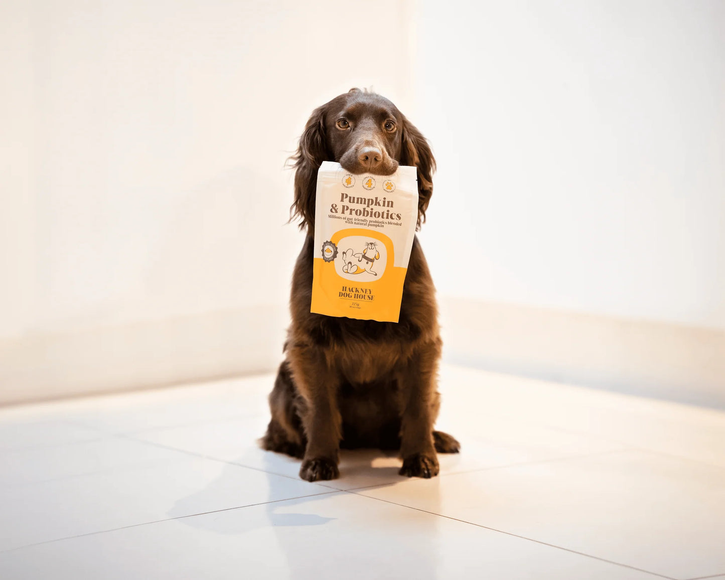 Hackney Dog House Pumpkin & Probiotics Powder