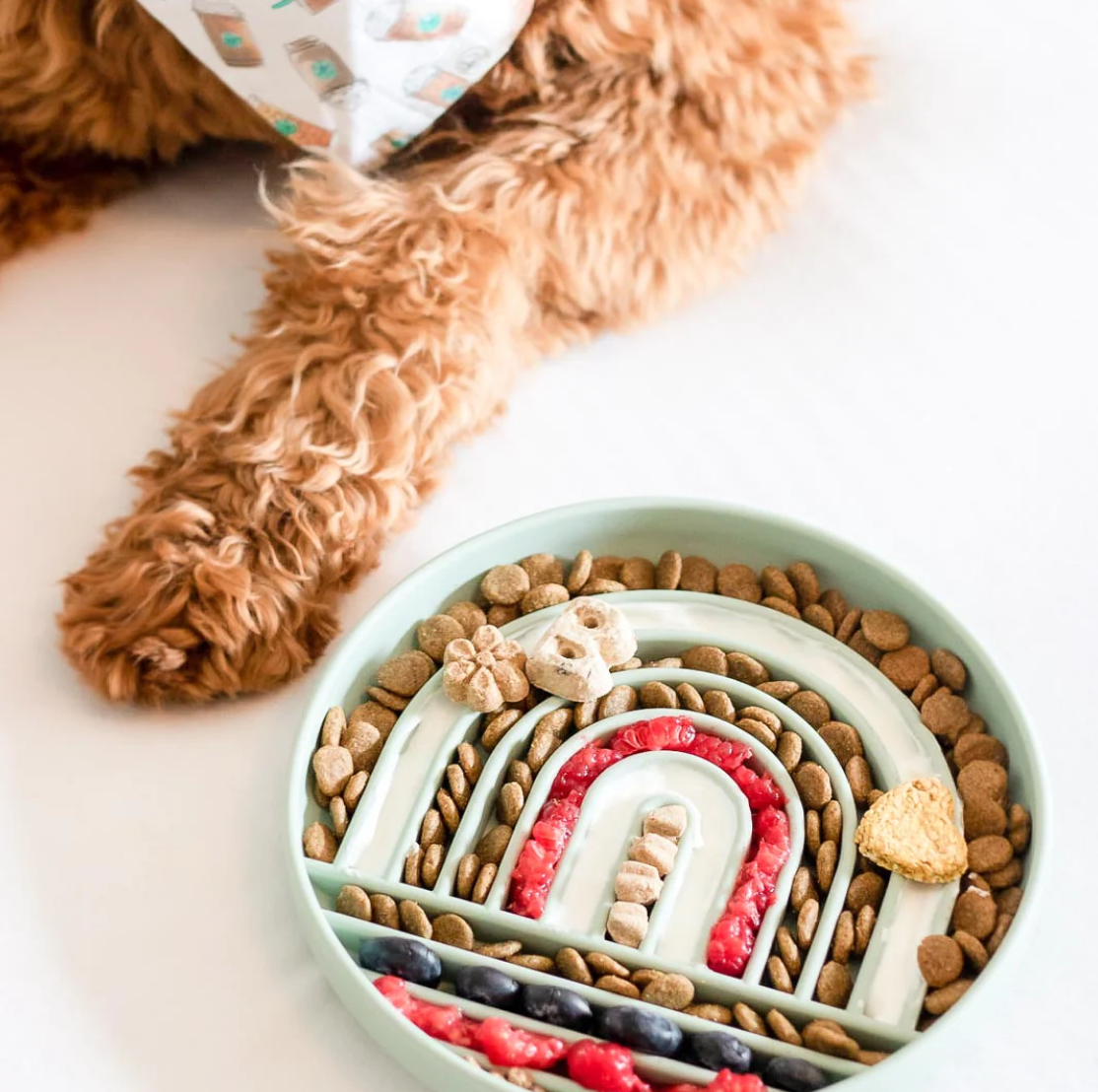 Cali Fluff Co. Slow Feeder