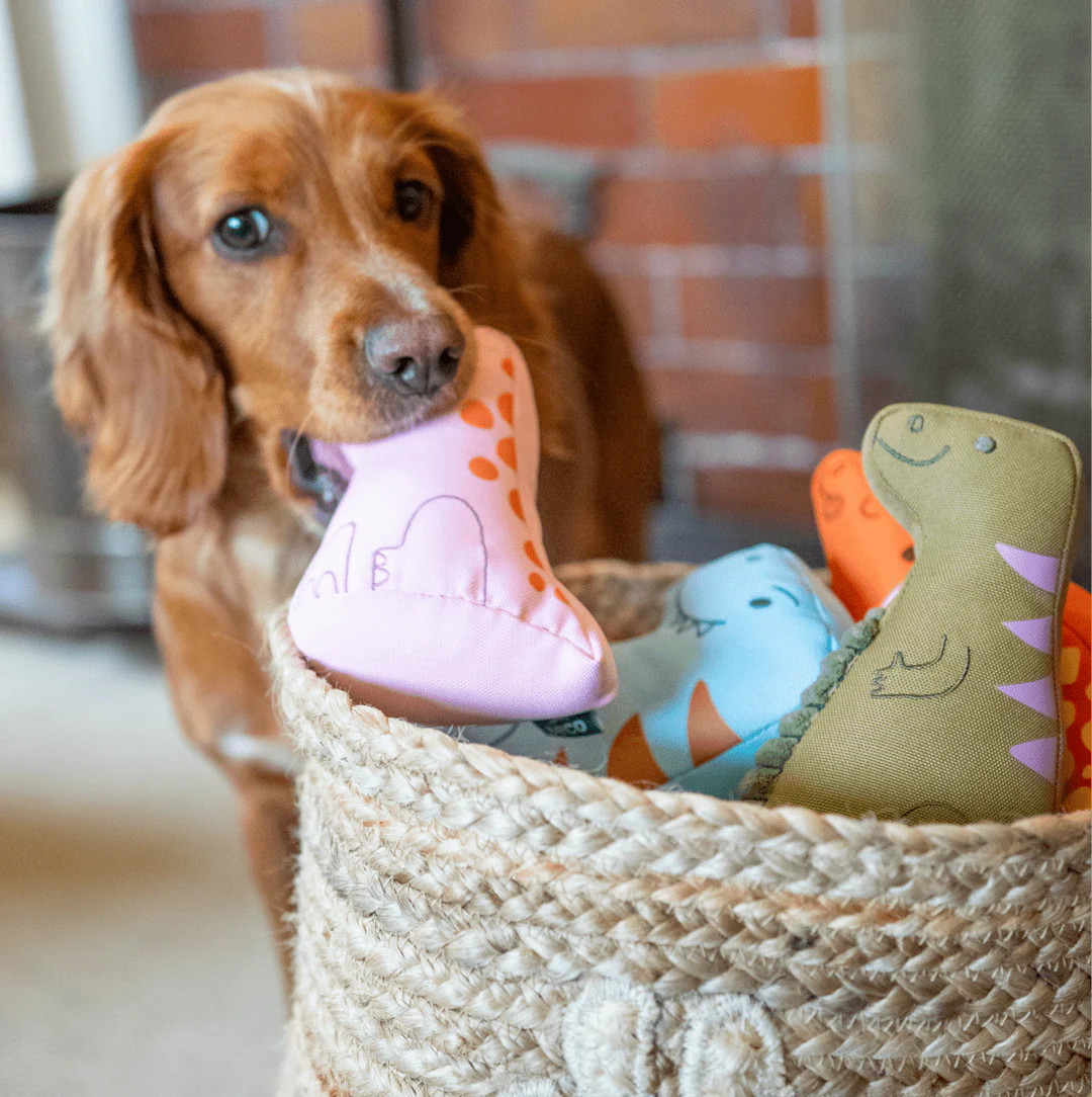 Beco Dinopaws Collection