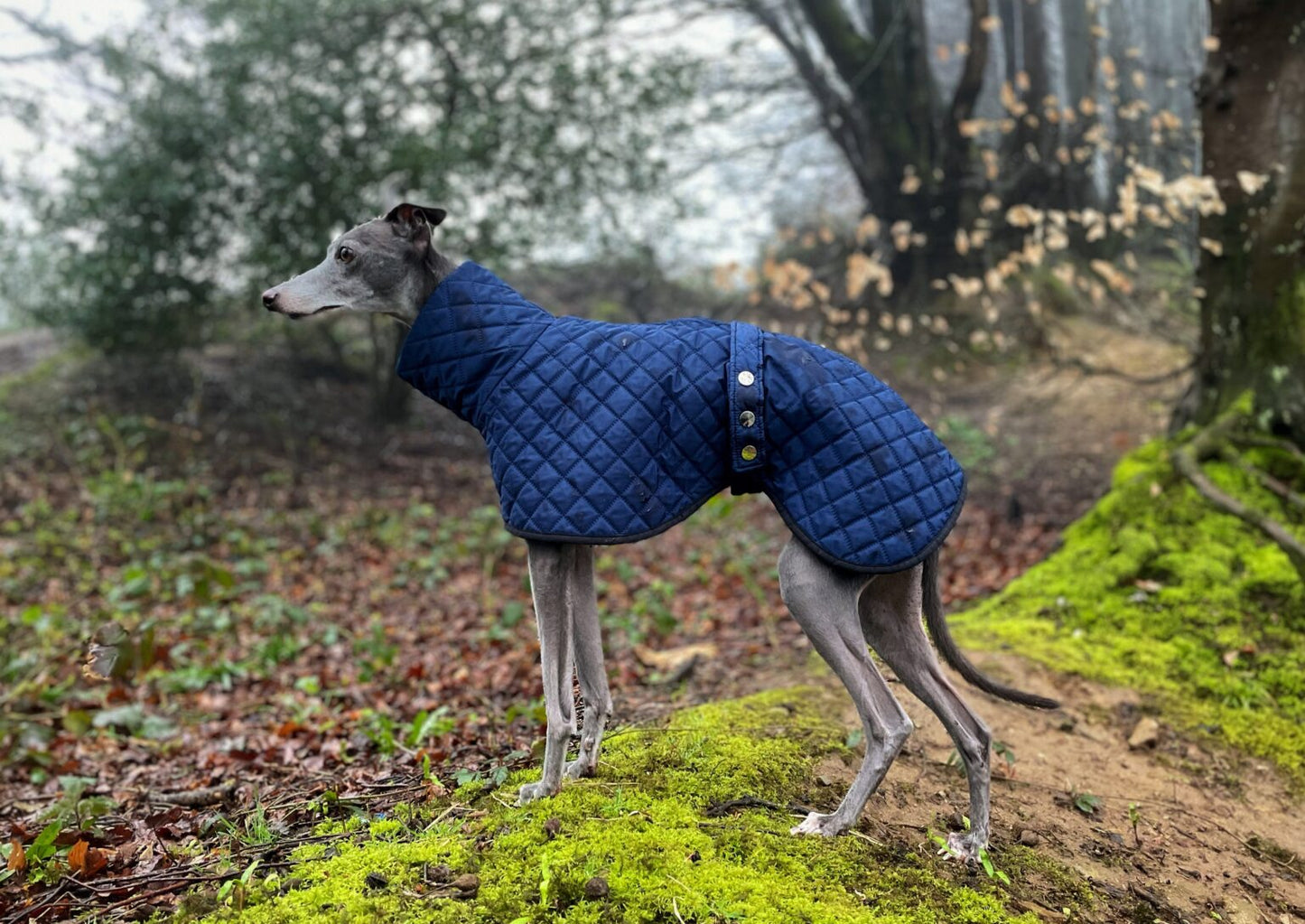 The Trendy Whippet Navy Quilted Waterproof Coat