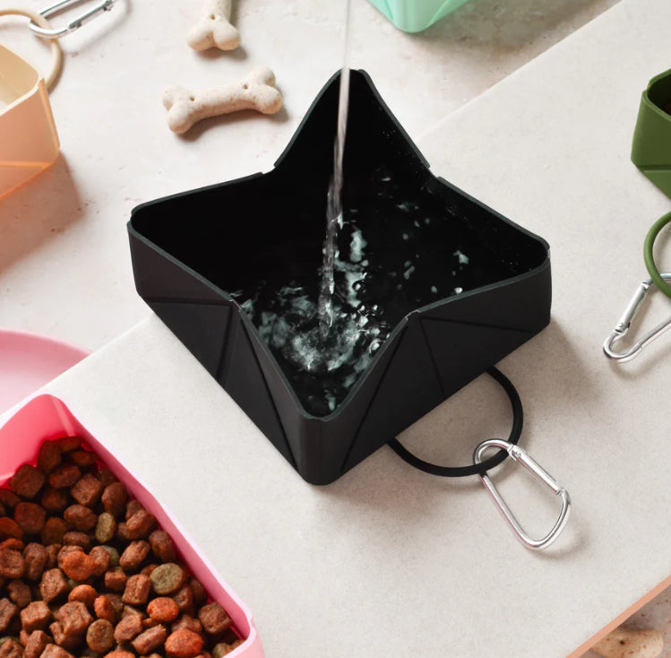 Cocopup Foldable Travel Bowl