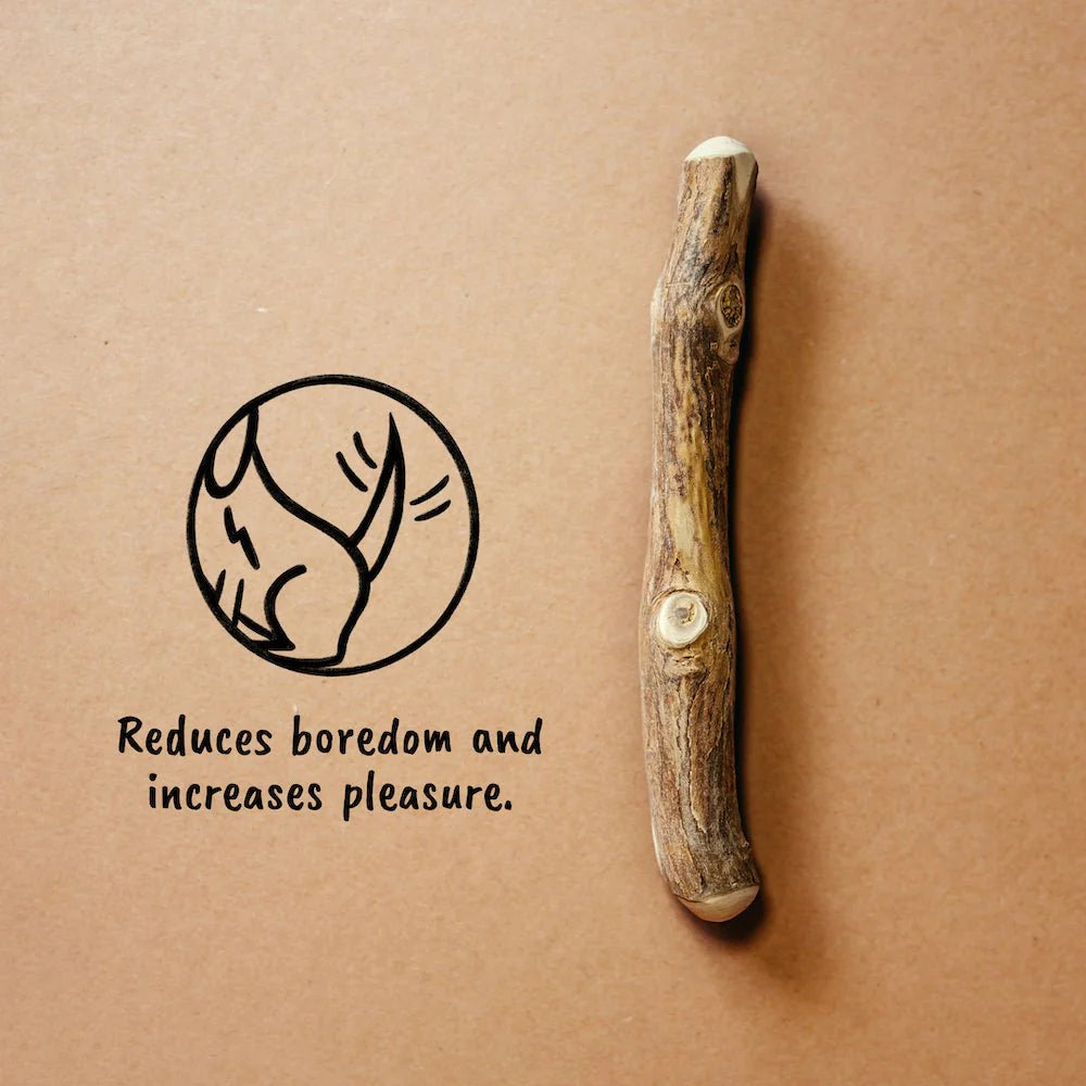 Canophera Coffee Wood Chew Stick