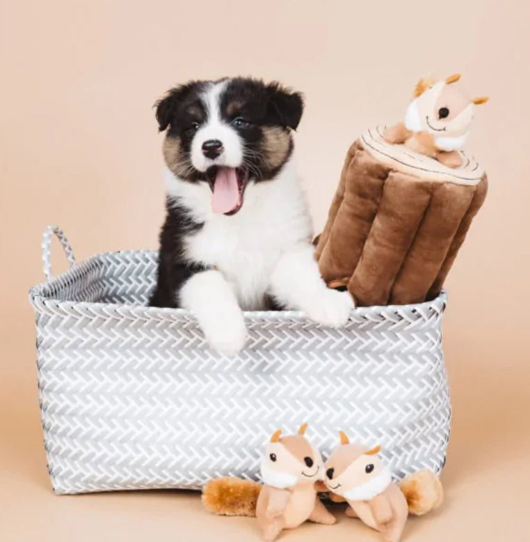 Zippy Paws Log & Chipmonks