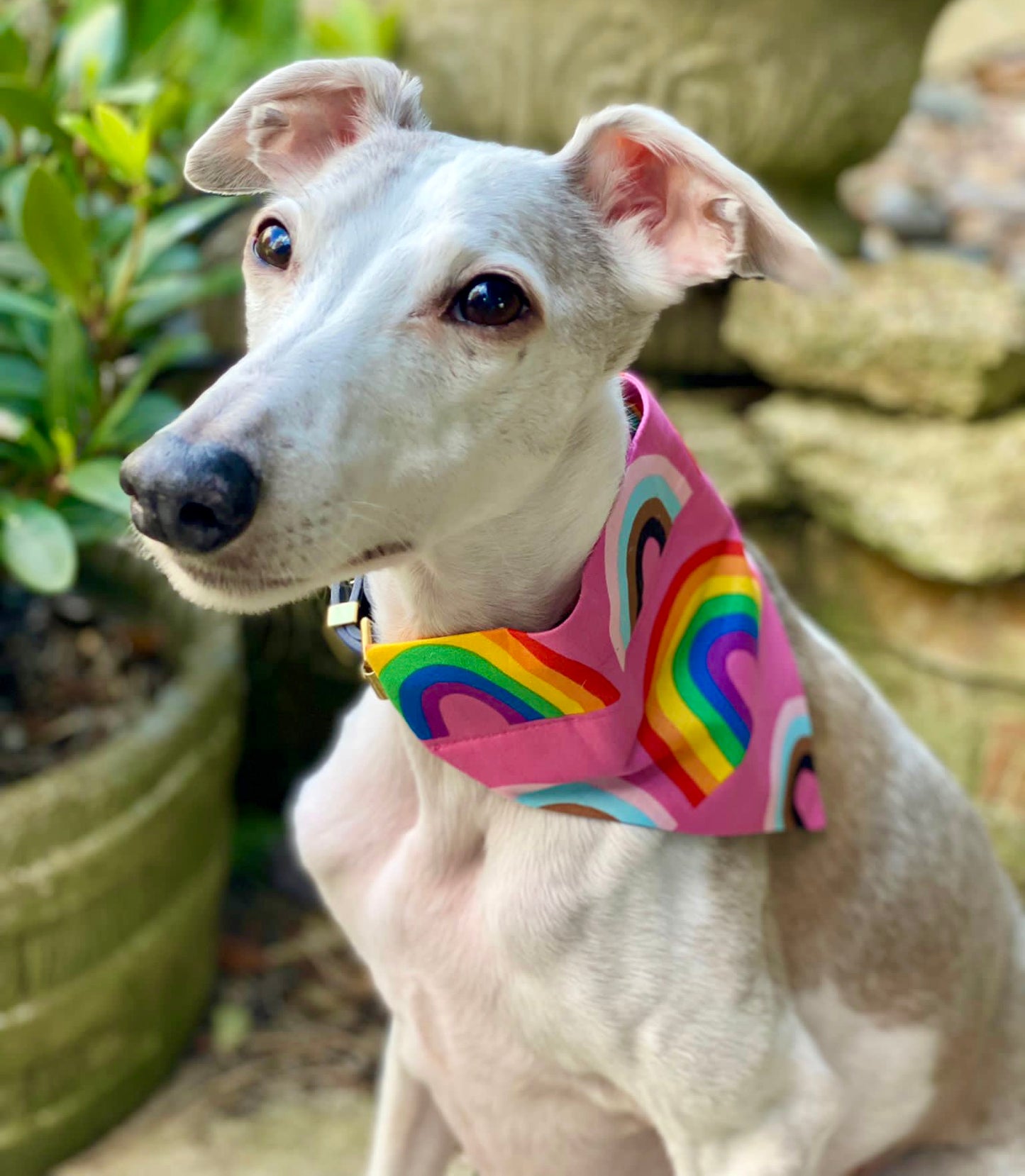 PRIDE Bandana