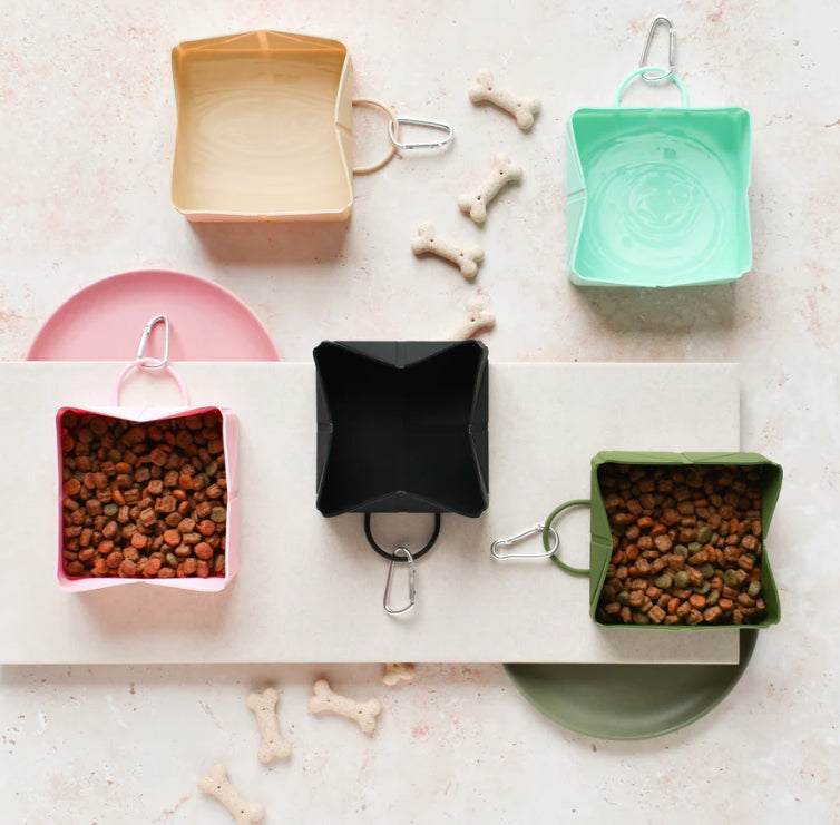 Cocopup Foldable Travel Bowl
