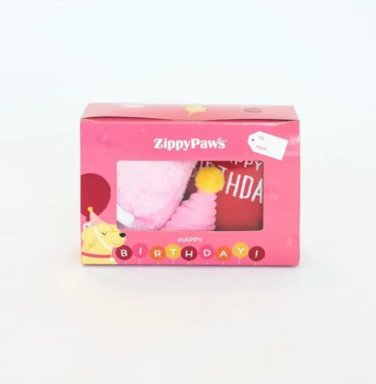 Zippy Paws Birthday Box