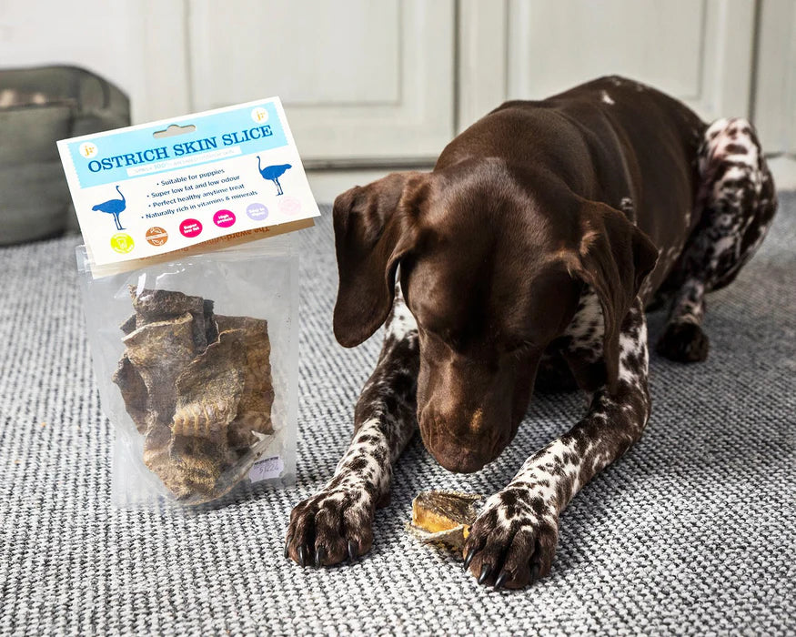 JR Pet Products Ostrich Skin