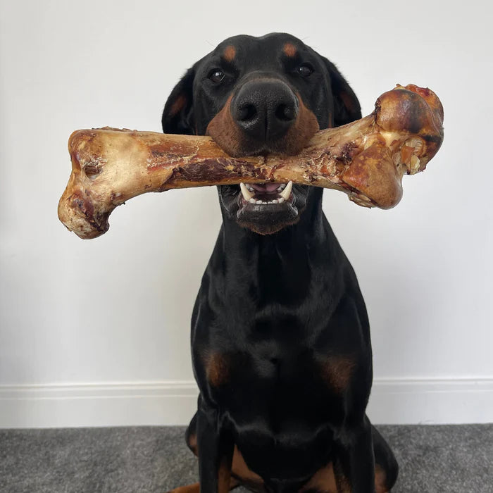 JR Pet Product Ostrich Bone