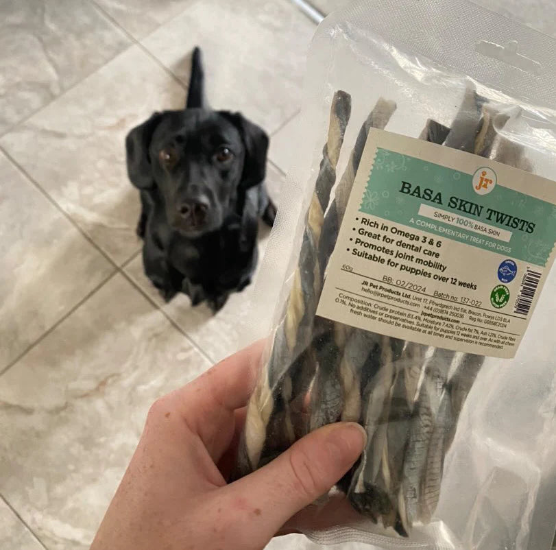 JR Pet Products Basa Skin Twists