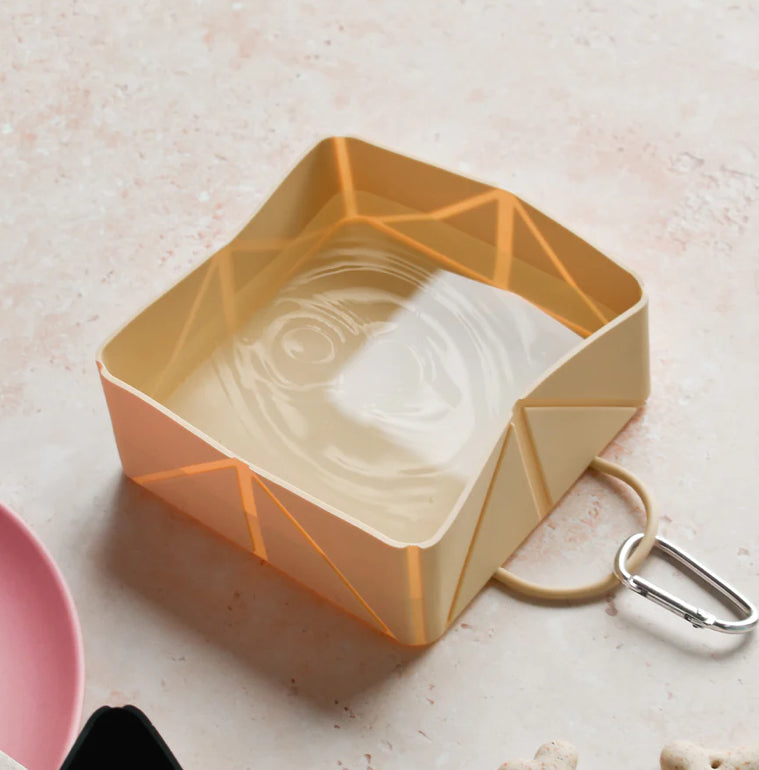 Cocopup Foldable Travel Bowl