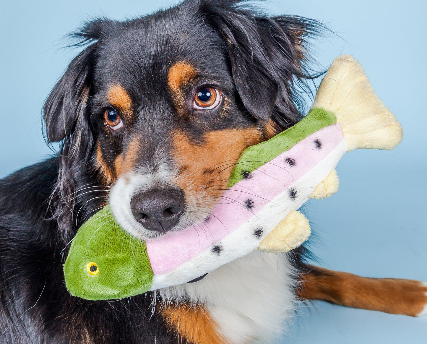 Fluff and Tuff Burt The Lake Trout