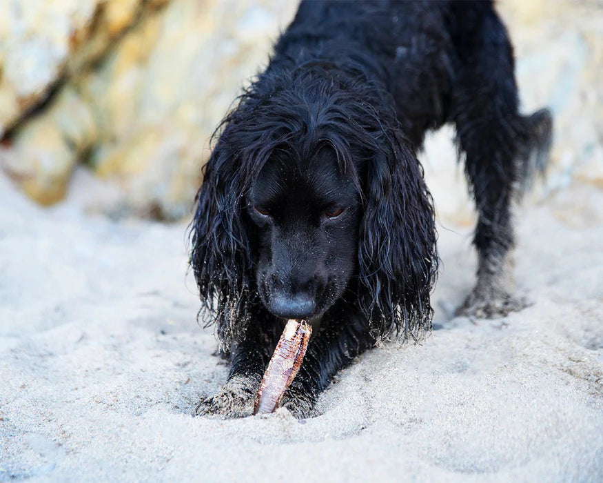 JR Pet Products Ostrich Straws