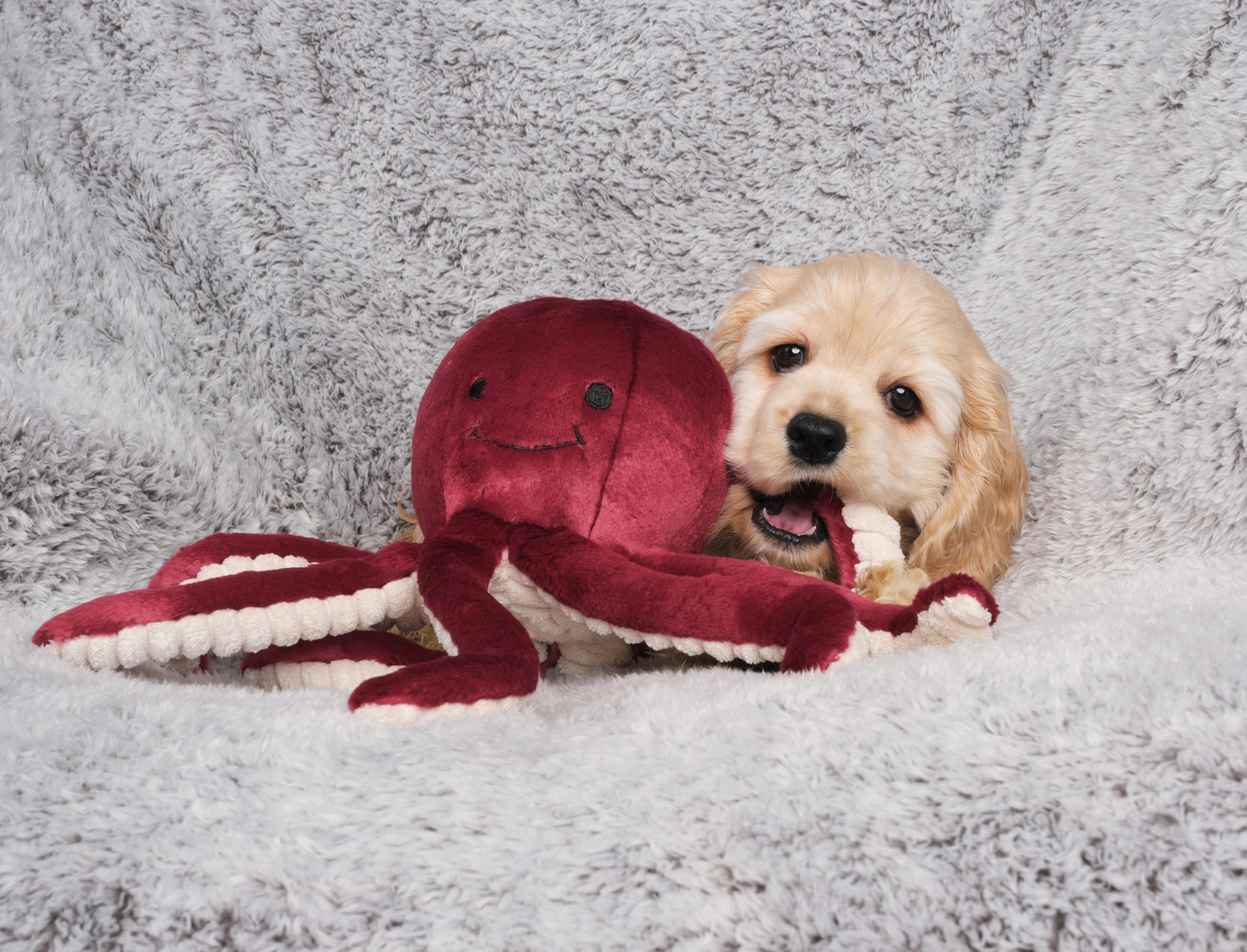 Fluff and Tuff Olympia Octopus