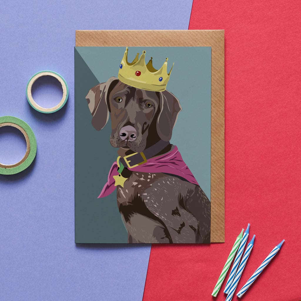 Django The German Pointer Greetings Card