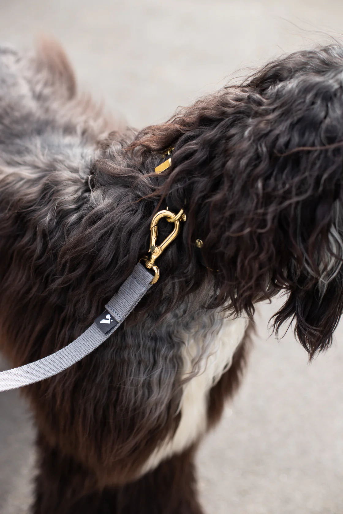 Vackertass Cotton Lead