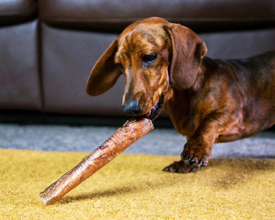JR Pet Products Ostrich Straws