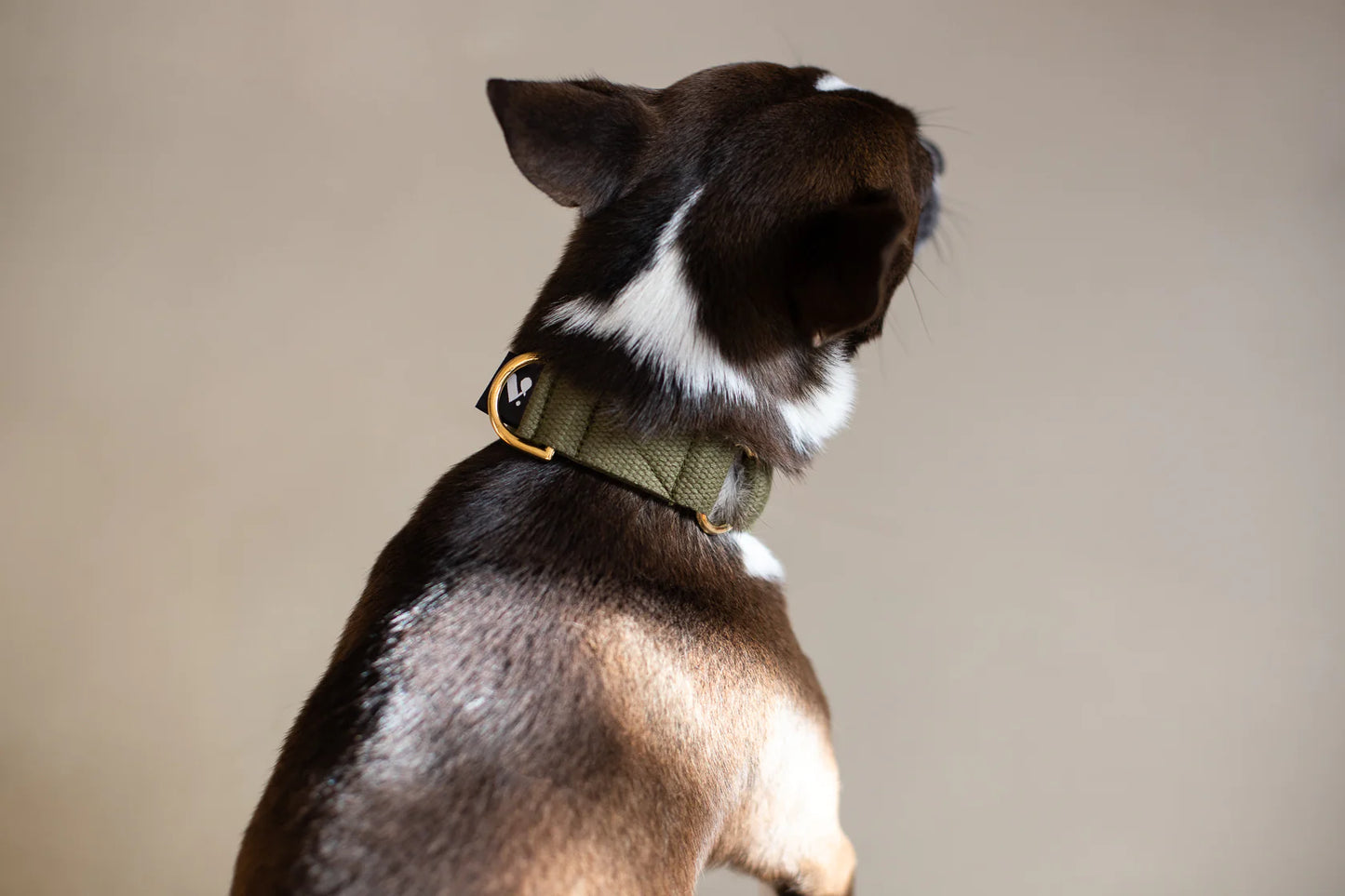 Vackertass Slip-On Cotton Collar