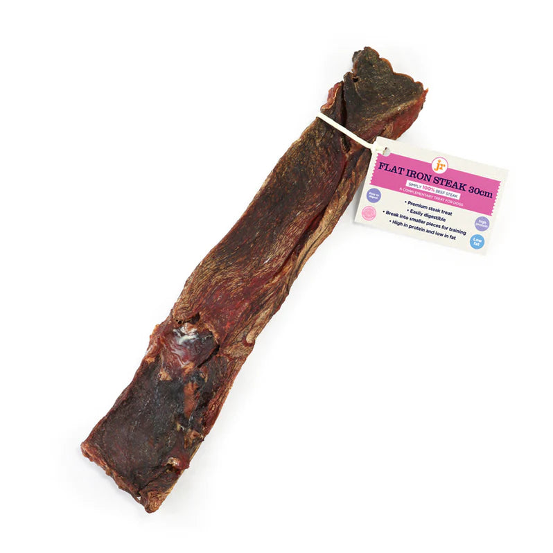 JR Pet Products Flat Iron Steak