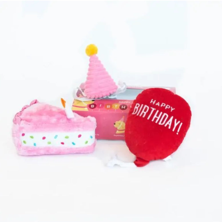 Zippy Paws Birthday Box