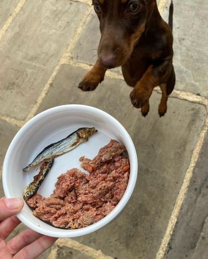 JR Pet Products Whole Sprats