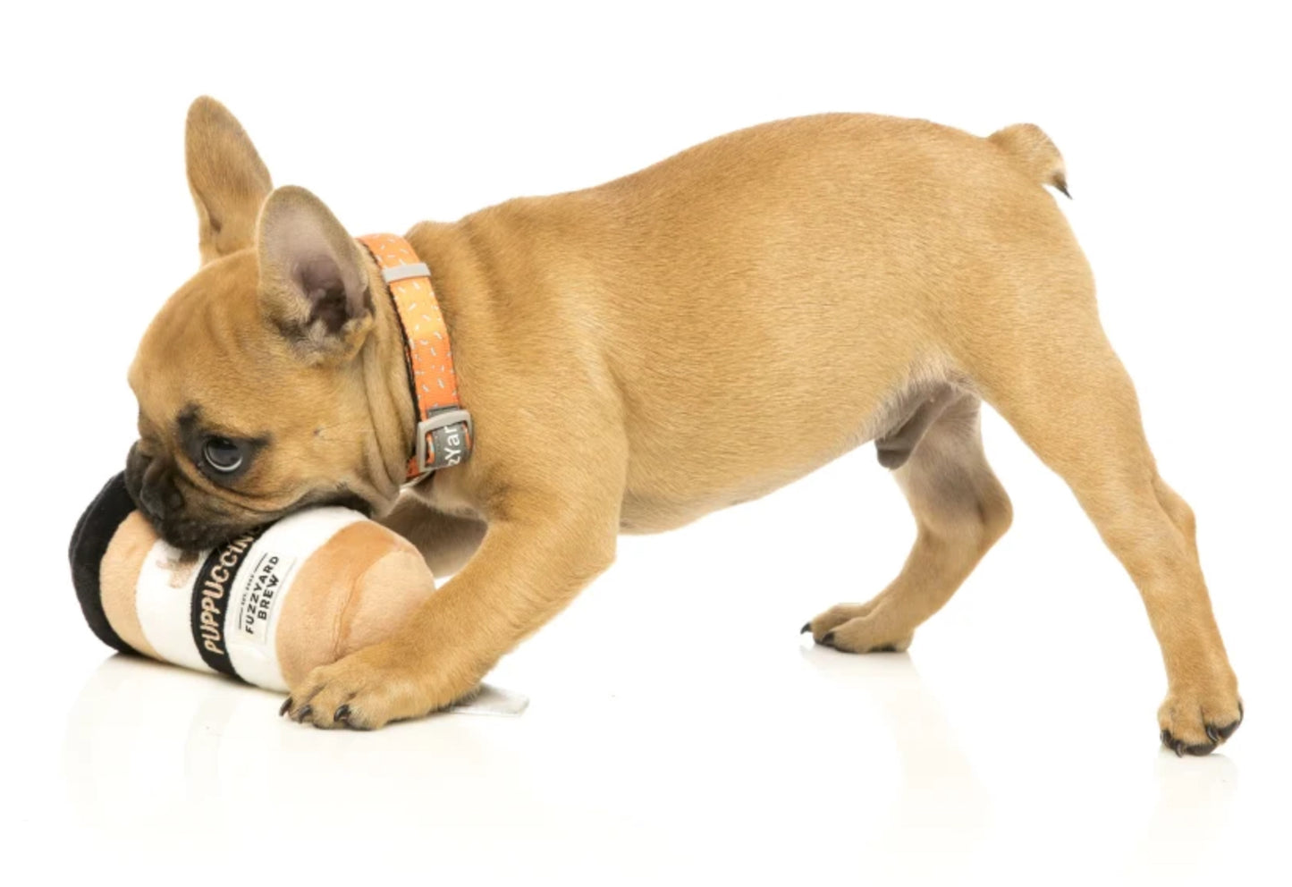 Fuzzyard Puppuccino